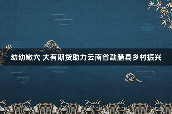 幼幼嫩穴 大有期货助力云南省勐腊县乡村振兴