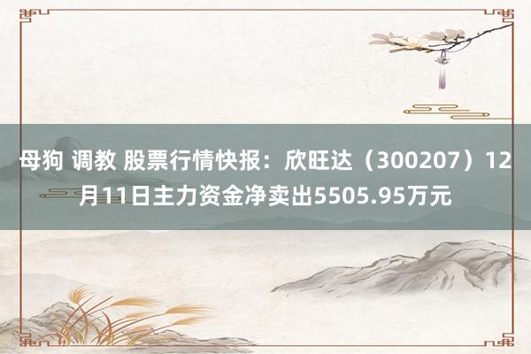 母狗 调教 股票行情快报：欣旺达（300207）12月11日主力资金净卖出5505.95万元