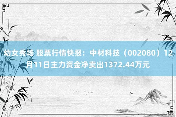 幼女秀场 股票行情快报：中材科技（002080）12月11日主力资金净卖出1372.44万元