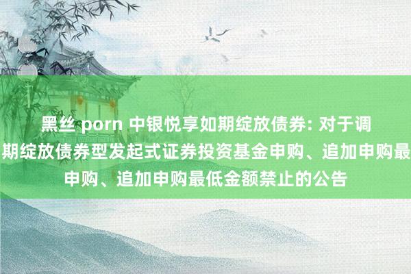 黑丝 porn 中银悦享如期绽放债券: 对于调度旗下中银悦享如期绽放债券型发起式证券投资基金申购、追加申购最低金额禁止的公告