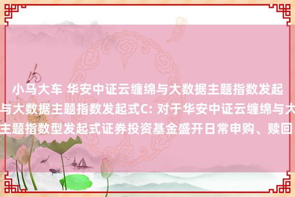 小马大车 华安中证云缠绵与大数据主题指数发起式A，华安中证云缠绵与大数据主题指数发起式C: 对于华安中证云缠绵与大数据主题指数型发起式证券投资基金盛开日常申购、赎回、调换和依期定额投资业务公告