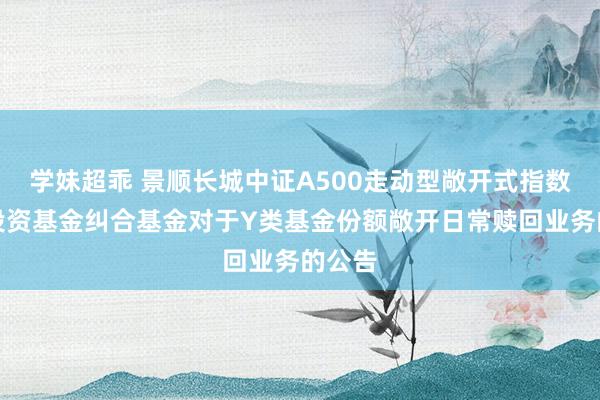 学妹超乖 景顺长城中证A500走动型敞开式指数证券投资基金纠合基金对于Y类基金份额敞开日常赎回业务的公告