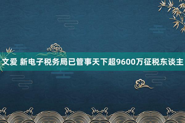 文爱 新电子税务局已管事天下超9600万征税东谈主