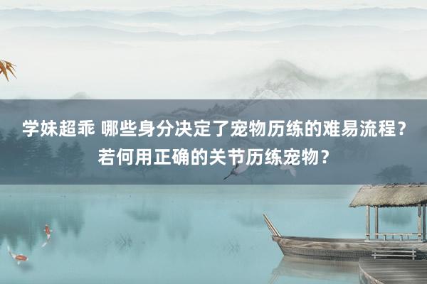 学妹超乖 哪些身分决定了宠物历练的难易流程？若何用正确的关节历练宠物？