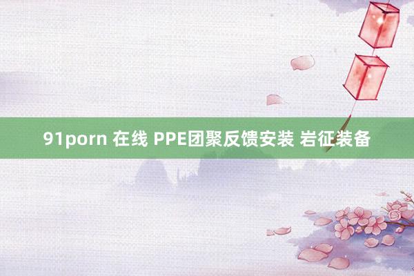 91porn 在线 PPE团聚反馈安装 岩征装备