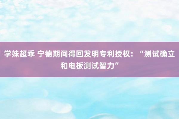 学妹超乖 宁德期间得回发明专利授权：“测试确立和电板测试智力”