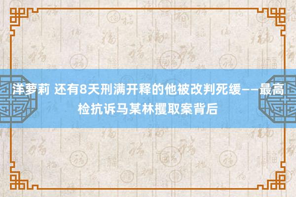 洋萝莉 还有8天刑满开释的他被改判死缓——最高检抗诉马某林攫取案背后