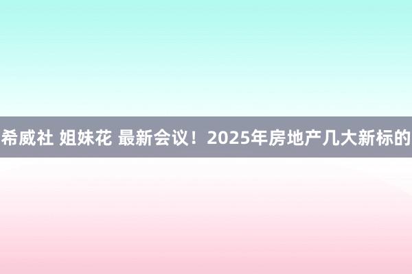 希威社 姐妹花 最新会议！2025年房地产几大新标的