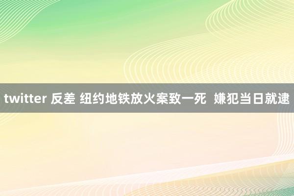 twitter 反差 纽约地铁放火案致一死  嫌犯当日就逮