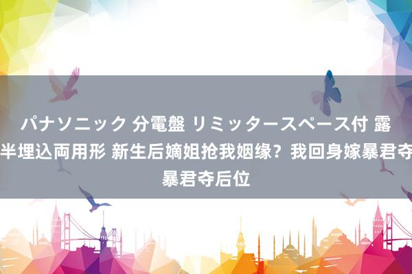 パナソニック 分電盤 リミッタースペース付 露出・半埋込両用形 新生后嫡姐抢我姻缘？我回身嫁暴君夺后位