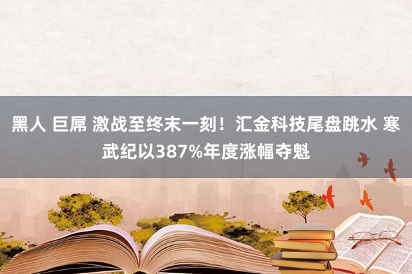 黑人 巨屌 激战至终末一刻！汇金科技尾盘跳水 寒武纪以387%年度涨幅夺魁