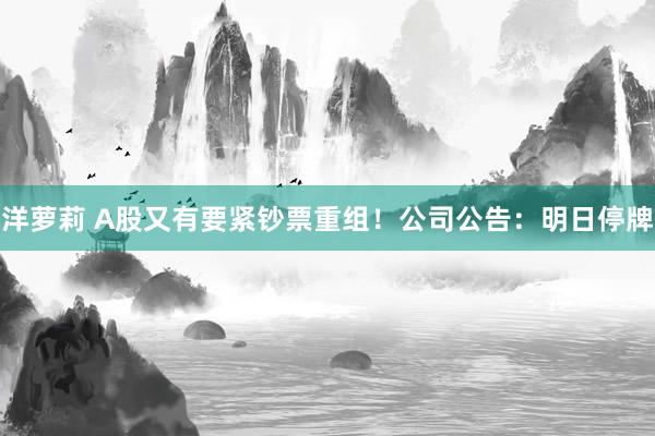 洋萝莉 A股又有要紧钞票重组！公司公告：明日停牌