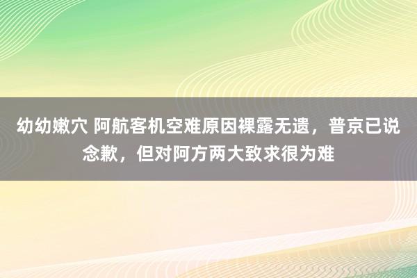 幼幼嫩穴 阿航客机空难原因裸露无遗，普京已说念歉，但对阿方两大致求很为难