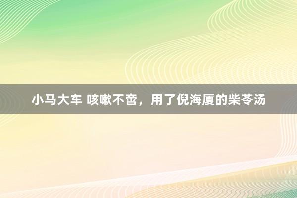 小马大车 咳嗽不啻，用了倪海厦的柴苓汤