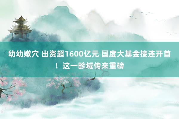 幼幼嫩穴 出资超1600亿元 国度大基金接连开首！这一畛域传来重磅