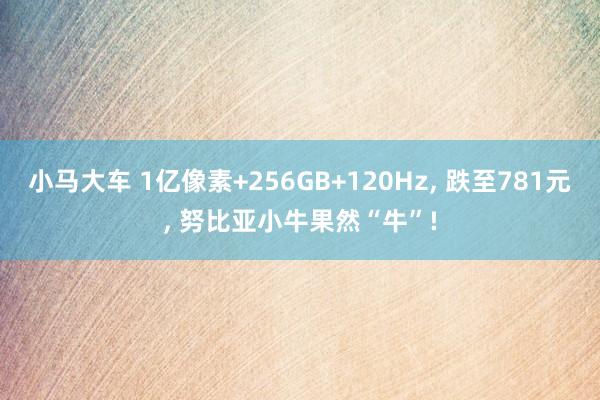 小马大车 1亿像素+256GB+120Hz， 跌至781元， 努比亚小牛果然“牛”!