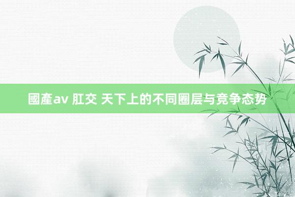 國產av 肛交 天下上的不同圈层与竞争态势