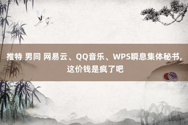 推特 男同 网易云、QQ音乐、WPS瞬息集体秘书， 这价钱是疯了吧