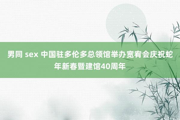 男同 sex 中国驻多伦多总领馆举办宽宥会庆祝蛇年新春暨建馆40周年