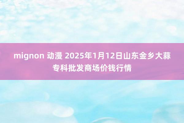 mignon 动漫 2025年1月12日山东金乡大蒜专科批发商场价钱行情