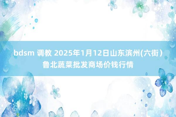 bdsm 调教 2025年1月12日山东滨州(六街）鲁北蔬菜批发商场价钱行情