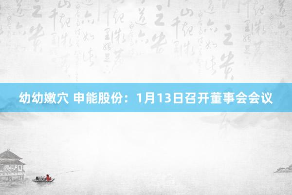 幼幼嫩穴 申能股份：1月13日召开董事会会议