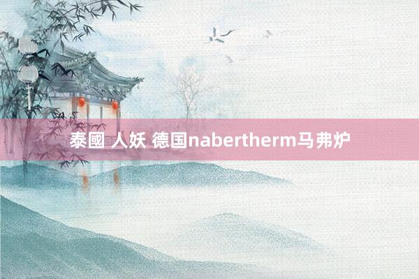 泰國 人妖 德国nabertherm马弗炉