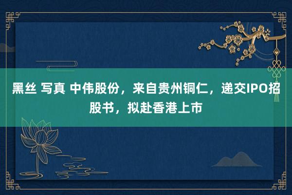 黑丝 写真 中伟股份，来自贵州铜仁，递交IPO招股书，拟赴香港上市